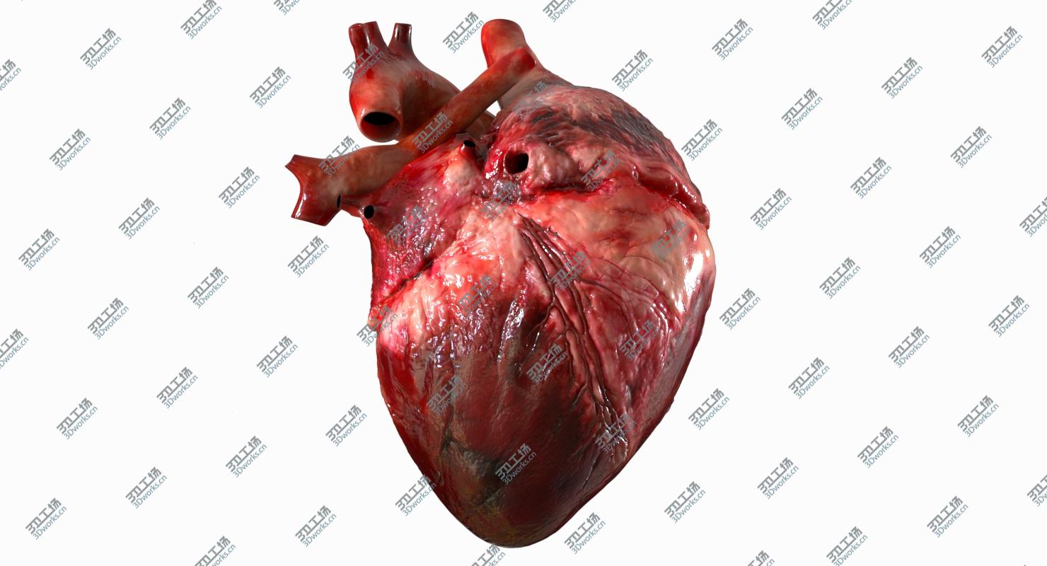 images/goods_img/20210113/3D Human Heart Anatomy (Animation) model/4.jpg